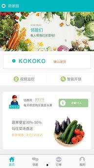 爆料开锁视频大全集下载,视频大全集下载解析